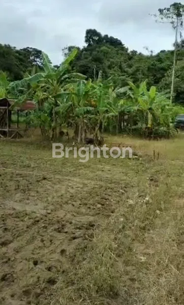 image DIJUAL CEPAT TANAH SHM DI JALAN MONOMULYO PALARAN (2)