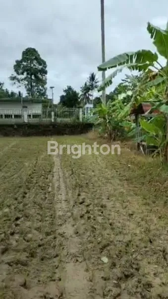 image DIJUAL CEPAT TANAH SHM DI JALAN MONOMULYO PALARAN (3)