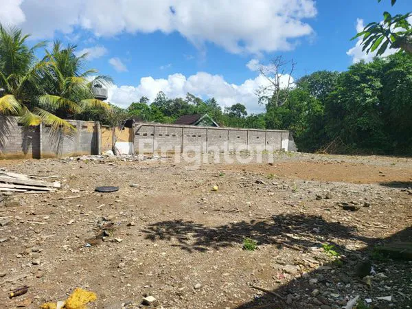 image TANAH SUPER STRATEGIS, KECAMATAN UBUD (2)