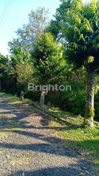 SEGERA MILIKI LAHAN TANAH DI JL. BUKIT KARTIKA. KAWASAN BEBAS BANJIR, BUKIT SARI, SEMARANG