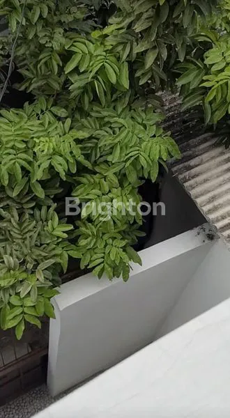 image RUMAH MINIMALIS DIJUAL MURAH DI PADEMANGAN (8)