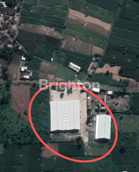 image GUDANG DI KECAMATAN SUKOREJO KABUPATEN PASURUAN JAWA TIMUR (3)