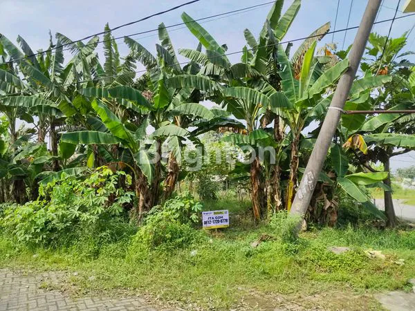 TANAH 30X33M DI DRIYOREJO, HARGA SPESIAL