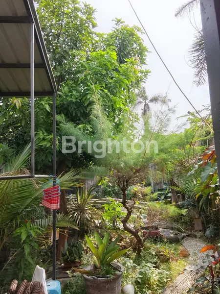 image RAYA MADE UTARA LUAS DENGAN TAMAN GAZEBO DIBELAKANG RUMAH DAN TOKO (4)