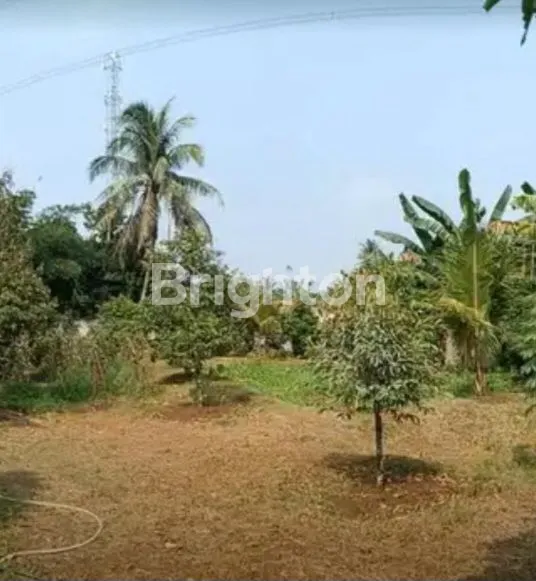 image TANAH MURAH DICISEENG AKSES MUDAH POTENSI MENGUNTUNGKAN (3)