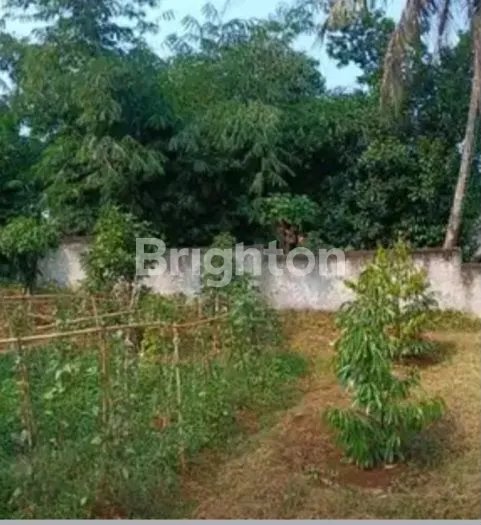 image TANAH MURAH DICISEENG AKSES MUDAH POTENSI MENGUNTUNGKAN (6)