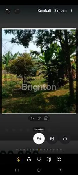 image TANAH MURAH DICISEENG AKSES MUDAH POTENSI MENGUNTUNGKAN (7)