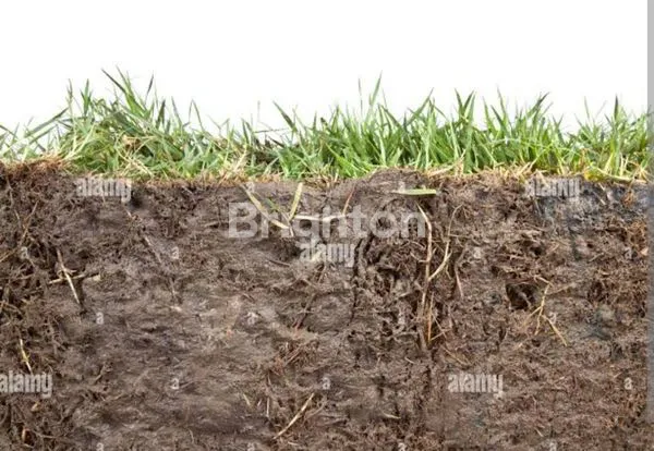 TANAH MURAH DI SOEKARNO HATTA MALANG