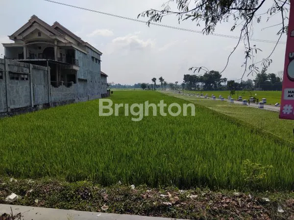 TANAH STRATEGIS 2.736 M² DI JALAN RAYA TULUNGAGUNG - TRENGGALEK, HARGA TERJANGKAU
