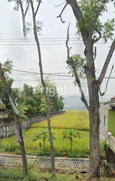 image TANAH STRATEGIS 2.204 M² DI JALAN RAYA TULUNGAGUNG - TRENGGALEK, HARGA TERJANGKAU (1)