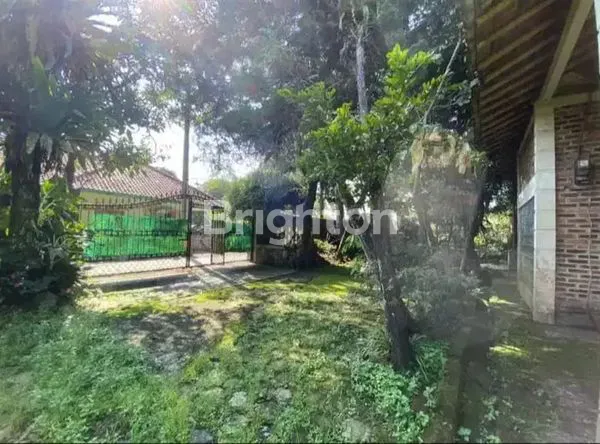 image DI JUAL TANAH DI JL. SAWO TAMANSARI SUKAMANTRI BOGOR, AKSES MUDAH DARI PUSAT KOTA BOGOR 30-45 MENIT, DEKAT PANCASAN, DEKAT BTM (BOGOR TRADE MALL), DEKAT CIOMAS (4)