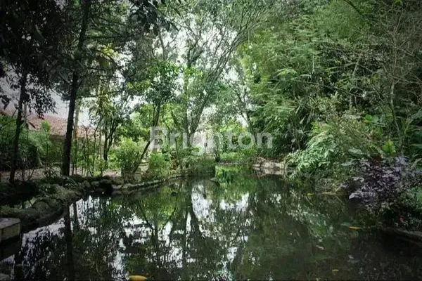 image DI JUAL TANAH DI JL. SAWO TAMANSARI SUKAMANTRI BOGOR, AKSES MUDAH DARI PUSAT KOTA BOGOR 30-45 MENIT, DEKAT PANCASAN, DEKAT BTM (BOGOR TRADE MALL), DEKAT CIOMAS (2)