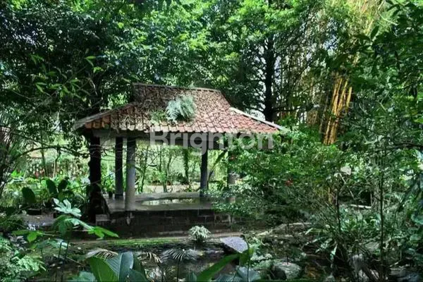 image DI JUAL TANAH DI JL. SAWO TAMANSARI SUKAMANTRI BOGOR, AKSES MUDAH DARI PUSAT KOTA BOGOR 30-45 MENIT, DEKAT PANCASAN, DEKAT BTM (BOGOR TRADE MALL), DEKAT CIOMAS (1)