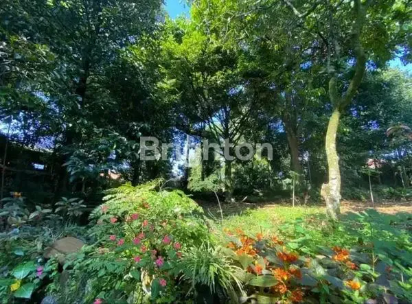 image DI JUAL TANAH DI JL. SAWO TAMANSARI SUKAMANTRI BOGOR, AKSES MUDAH DARI PUSAT KOTA BOGOR 30-45 MENIT, DEKAT PANCASAN, DEKAT BTM (BOGOR TRADE MALL), DEKAT CIOMAS (3)