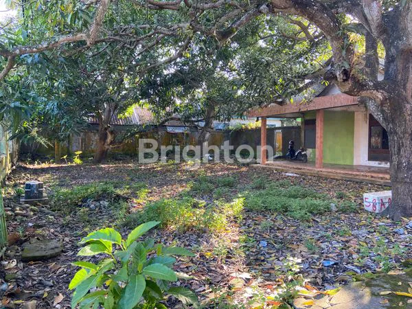 image RUMAH DAN TANAH - BEBA GALESONG (3)