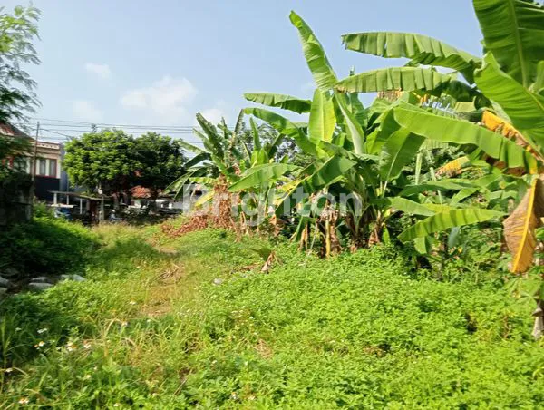 image LAHAN / TANAH MURAH MERIAH SENTUL (8)