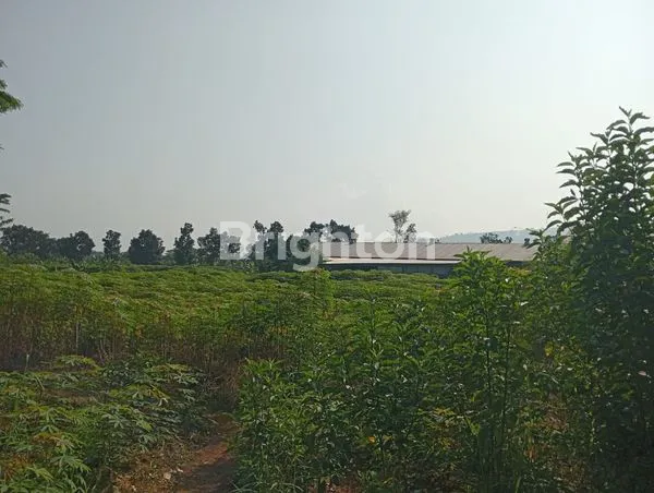 image LAHAN / TANAH MURAH MERIAH SENTUL (7)