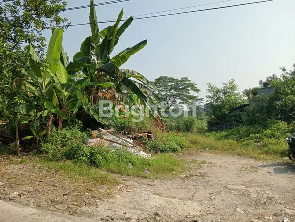 image LAHAN / TANAH MURAH MERIAH SENTUL (2)