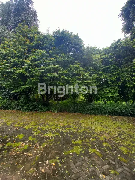 image DIJUAL TANAH SERASI UNTUK MINI CLUSTER DEKAT BINTARO (3)