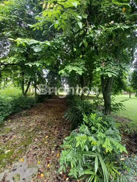 image DIJUAL TANAH SERASI UNTUK MINI CLUSTER DEKAT BINTARO (7)