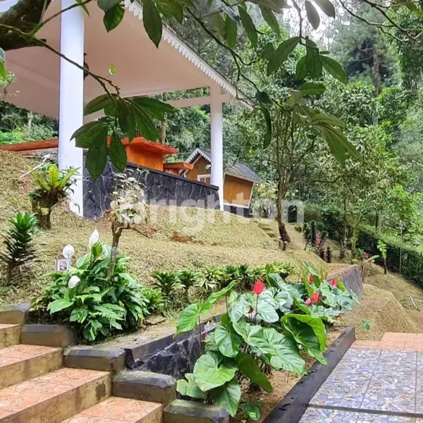 image VILLA HUTAN NAN CANTIK FULL FURNISHED DEKAT DARI JAKARTA LOKASI BOGOR (4)