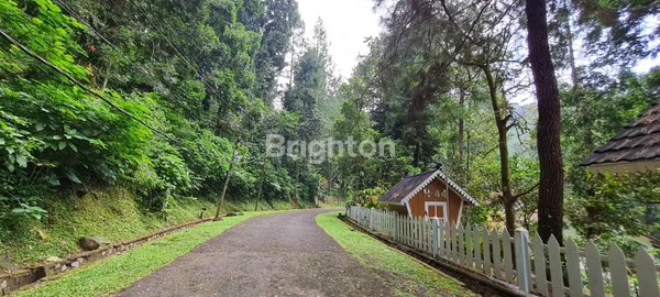 image VILLA HUTAN NAN CANTIK FULL FURNISHED DEKAT DARI JAKARTA LOKASI BOGOR (8)