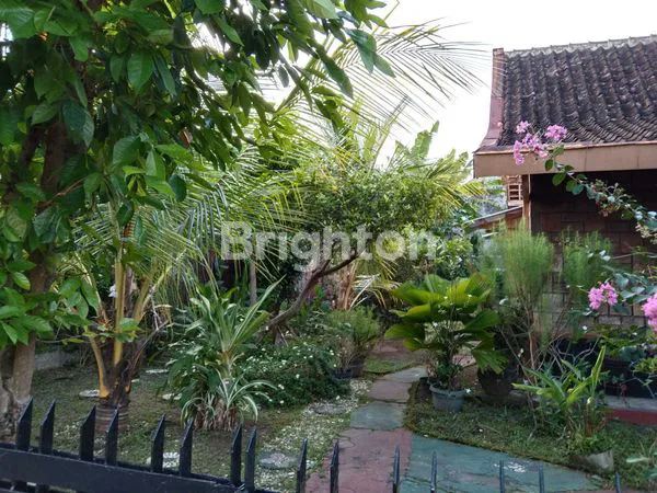 image TANAH SIAP BANGUN BACIRO SELANGKAH BALAI KOTA (1)