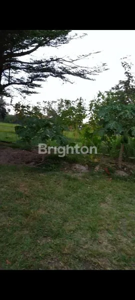 image SAWAH SIDOMOYO COCOK UNTUK HEALING, VILLA, RESTO. (2)