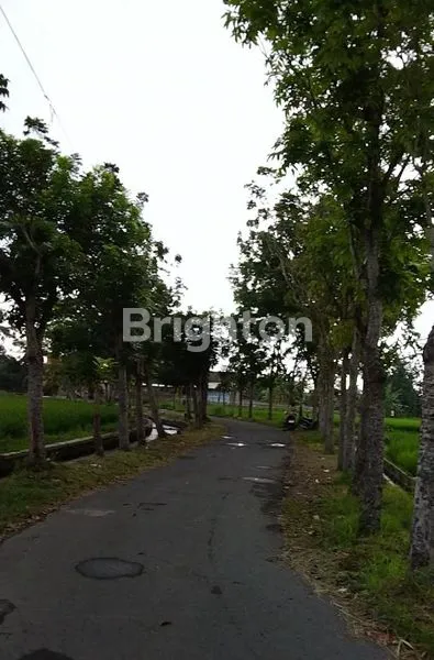 image SAWAH SIDOMOYO COCOK UNTUK HEALING, VILLA, RESTO. (3)