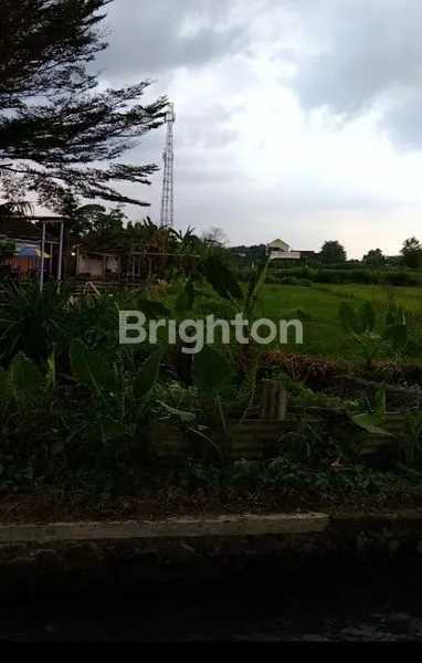 image SAWAH SIDOMOYO COCOK UNTUK HEALING, VILLA, RESTO. (4)