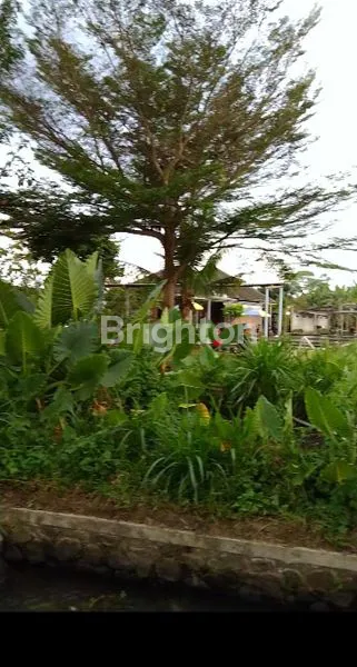 image SAWAH SIDOMOYO COCOK UNTUK HEALING, VILLA, RESTO. (5)