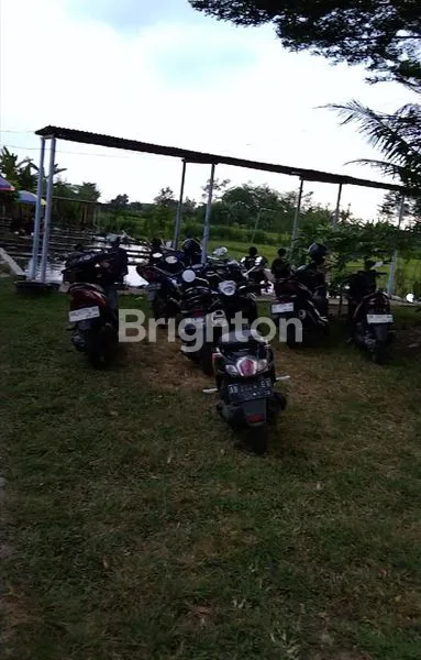 image SAWAH SIDOMOYO COCOK UNTUK HEALING, VILLA, RESTO. (6)