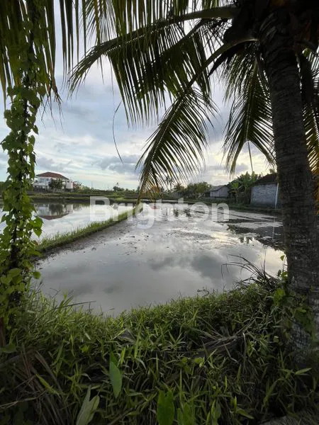 image TANAH BAGUS UNTUK BUAT VILLA DEKAT PANTAI DAN OBYEK WISATA BALI SAFARI   (3)