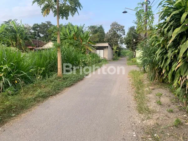 image PELUANG LANGKA! 2 KAVLING SIAP BANGUN DI KANIGORO – BISA BELI SATU, BISA BANGUN SEKARANG! (3)