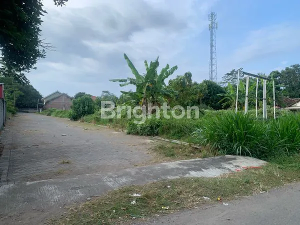 image PELUANG LANGKA! 2 KAVLING SIAP BANGUN DI KANIGORO – BISA BELI SATU, BISA BANGUN SEKARANG! (4)