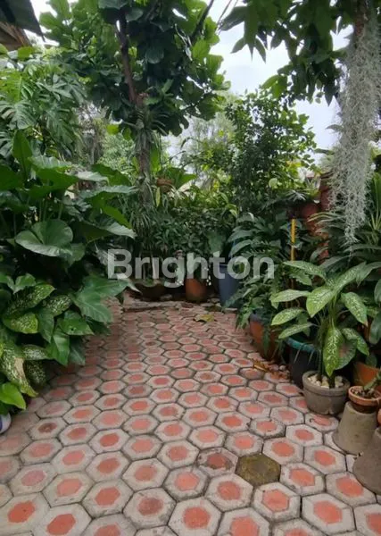 image RUMAH NUANSA JEPANG DI SENTUL CITY (2)