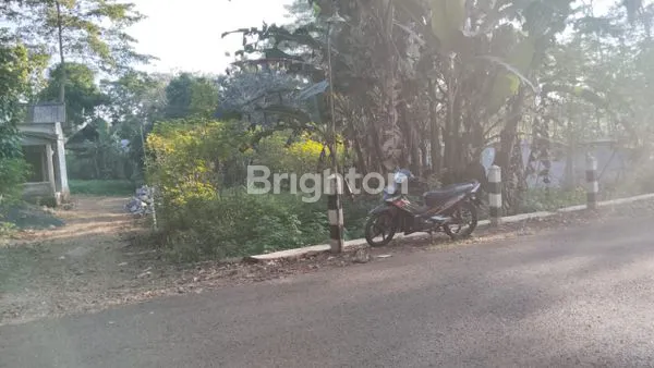 image TANAH STRATEGIS SIAP BANGUN DI KANDRI GUNUNGPATI (1)