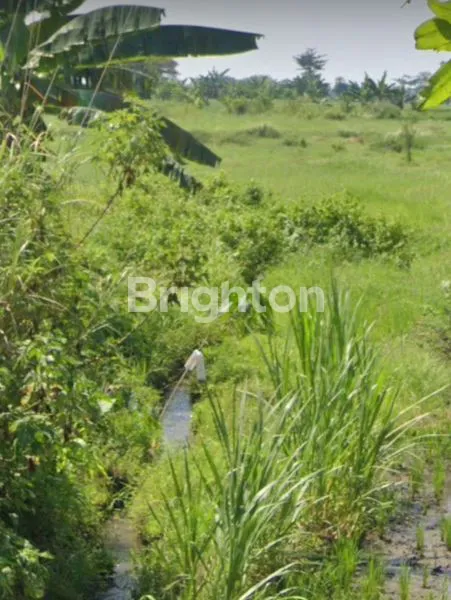 image *TANAH PURWODADI, 8.5HA, KABUPATEN PASURUAN,JAWA TIMUR* (2)