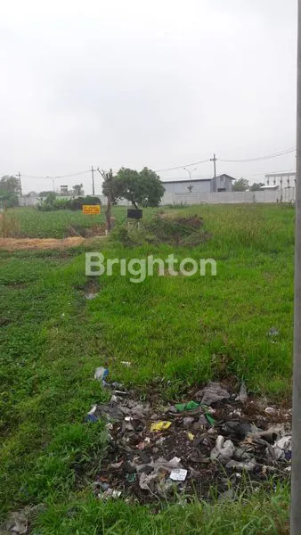 image TANAH DI JLN PROVINSI 4033 M (4)