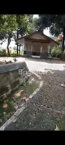 image TANAH CIGOMBONG (3)