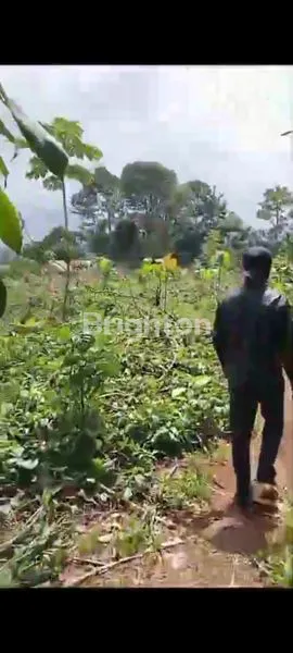 image TANAH CIGOMBONG (2)