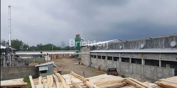 image PABRIK PLYWOOD AKTIF DEKAT TOL KIT BATANG (4)