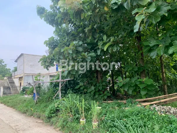 image TANAH 800 M2 SHM 2,6 JT / M2  CIBINONG, BOGOR JAWA BARAT (1)