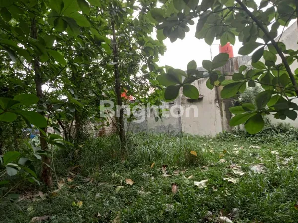 image TANAH 800 M2 SHM 2,6 JT / M2  CIBINONG, BOGOR JAWA BARAT (4)