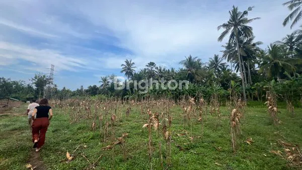 image ON SALE TANAH PEKUTATAN JEMBRANA (5)