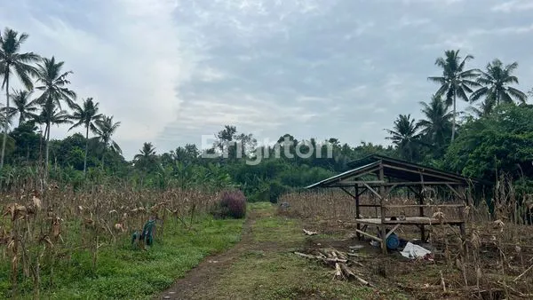 image ON SALE TANAH PEKUTATAN JEMBRANA (7)