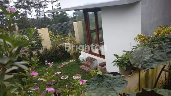 RUMAH BESAR KOLAM RENANG GETASAN KOPENG SALATIGA