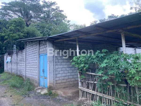 image RUANG USAHA HITUNG TANAH JATINOM (2)