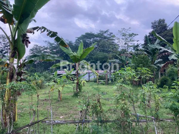 image RUANG USAHA HITUNG TANAH JATINOM (3)