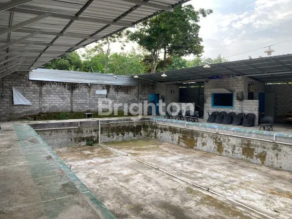 image RUANG USAHA HITUNG TANAH JATINOM (4)